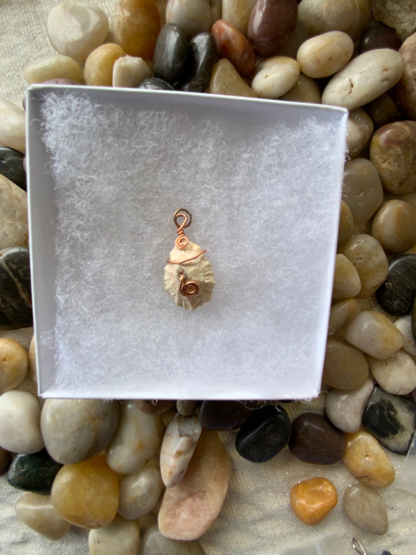 Natural Shell Copper Wire-Wrapped Pendant